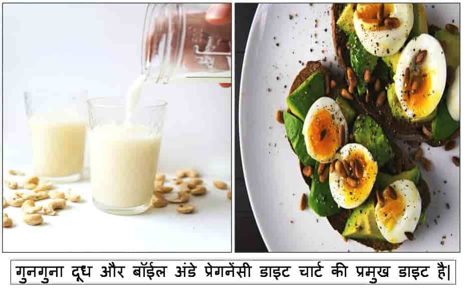 diet chart for pregnancy in hindi