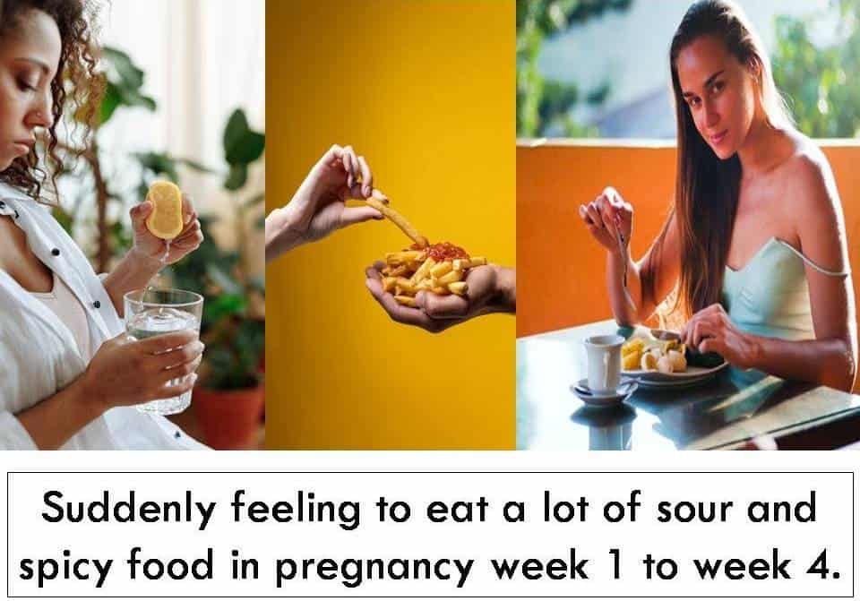 pregnancy symptoms week 1 to week 4