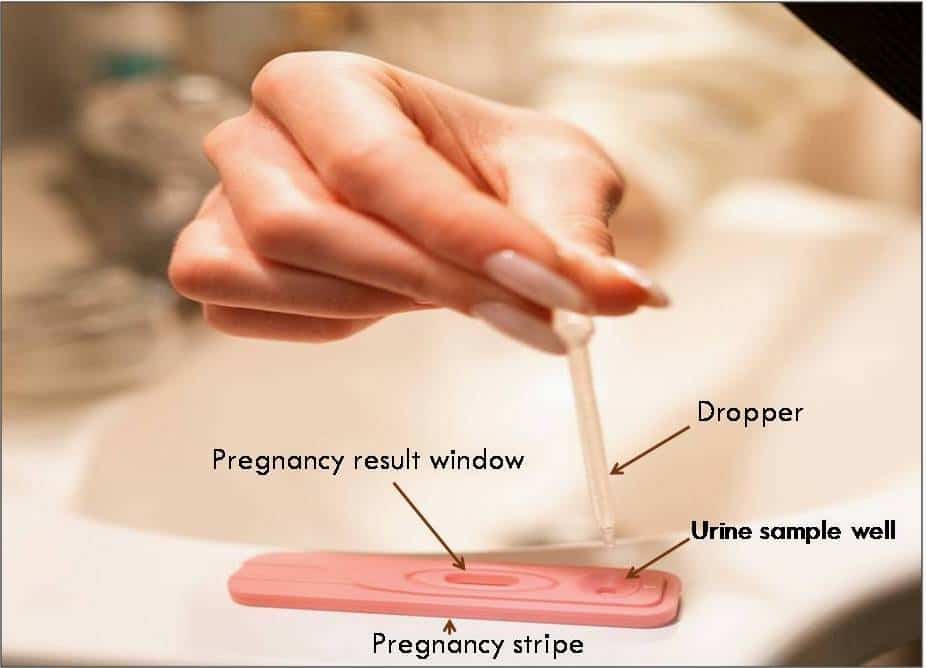 how to check pregnancy