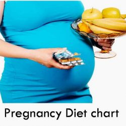 pregnancy diet chart
